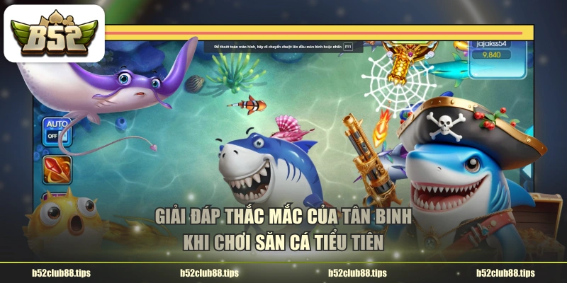 Giải đáp thắc mắc của tân binh khi chơi săn cá Tiểu Tiên