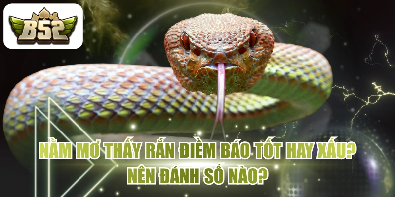 Nằm Mơ Thấy Rắn Điềm Báo Tốt Hay Xấu? Nên Đánh Số Nào?